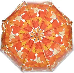 چتر شیشه ای