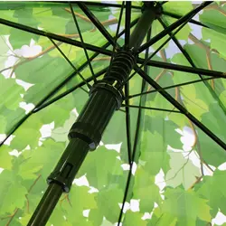 چتر شیشه ای