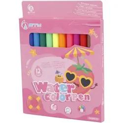 ماژیک نقاشی 12 رنگ اس تی ام STM S1005-12STM S1005-12 12 Color Painting Marker