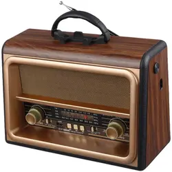 رادیو اسپیکر بلوتوثی رم و فلش خور Golon RX-BT89GOLON RX-BT89 WIRELESS SPEAKER