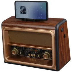 رادیو اسپیکر بلوتوثی رم و فلش خور Golon RX-BT89GOLON RX-BT89 WIRELESS SPEAKER