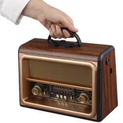 رادیو اسپیکر بلوتوثی رم و فلش خور Golon RX-BT89GOLON RX-BT89 WIRELESS SPEAKER