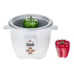 مولتی کوکر دو نفره پارس خزر مدل تفتان 61 Pars Khazar Taftan 61 Multicooker