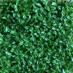 گرین وال مصنوعی | طرح برگ پرتقال |