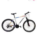 دوچرخه حرفه ای اهنی بونیتوکمکدار ۲۶