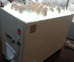 دستگاه نطفه سنج تخم پرندگان