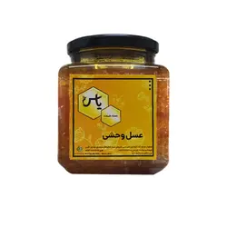 عسل وحشی کوهی یک کیلویی