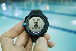 swim