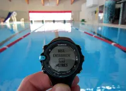 swim