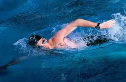 swim