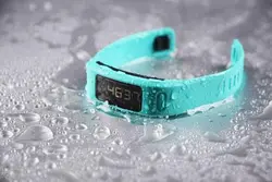 Vivofit