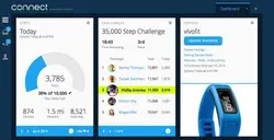 Vivofit