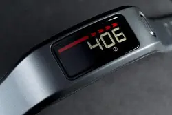 Vivofit