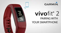 vivofit 2