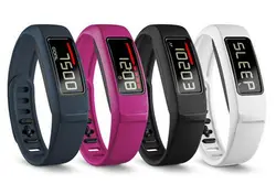vivofit 2