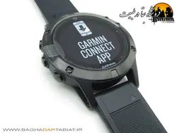 Fenix 5