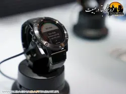Fenix 5