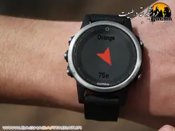 Fenix 5