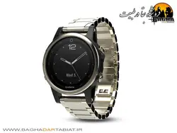 Fenix 5s