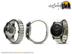 Fenix 5s