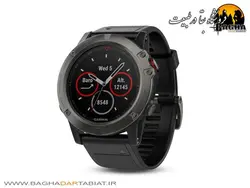 Fenix 5x