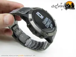 Fenix 5x