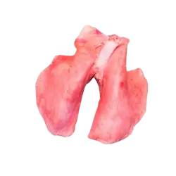 جگر سفید گوسفندی