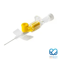 آنژیوکت زرد هندی