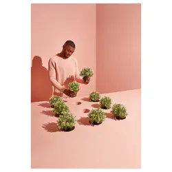 بوته گیاه مصنوعی ایکیا مدل FEJKA