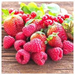 شمع وارمر معطر ایکیا مدل SINNLIG