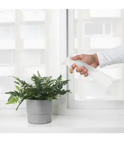 اسپری آب گل و گیاه ایکیا