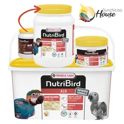 غذای سرلاکی A19