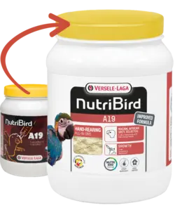 غذای سرلاکی A19