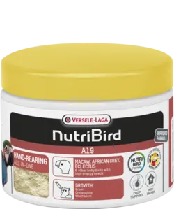 غذای سرلاکی A19