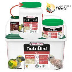 غذای سرلاکی A21