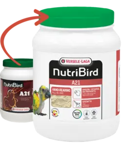 غذای سرلاکی A21