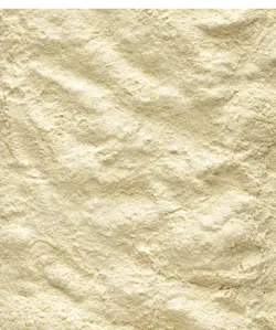 غذای سرلاکی A21