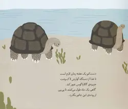 این پی پی ماله کیه