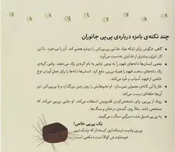 این پی پی ماله کیه