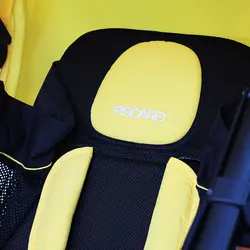 کالسکه مسافرتی ریکارو Recaro ایزی لایف