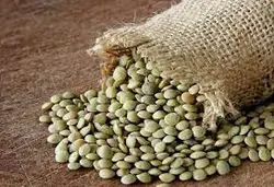 عدس درشت سبز اعلاء 900گرم