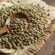 عدس ریز سبز اعلاء 900گرم