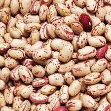 لوبیا چیتی اعلاء 900 گرم