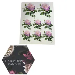 ترانسفر کد ۶۶۸۳۲۱