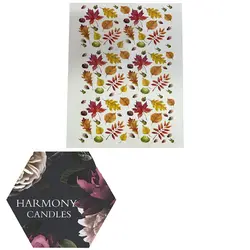 ترانسفر کد ۸۴۳۳۸۶