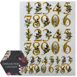 ترانسفر کد 72942743