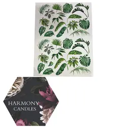 ترانسفر کد ۳۱۷۹۵۴