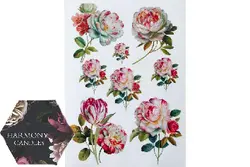 ترانسفر کد ۷۴۱۷۹۶