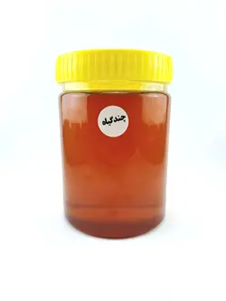 عسل چند گیاه (چهل گیاه) بسته یک کیلویی