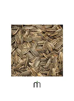 تخمه آفتابگردان دورسفید دوآتیشه 500gr